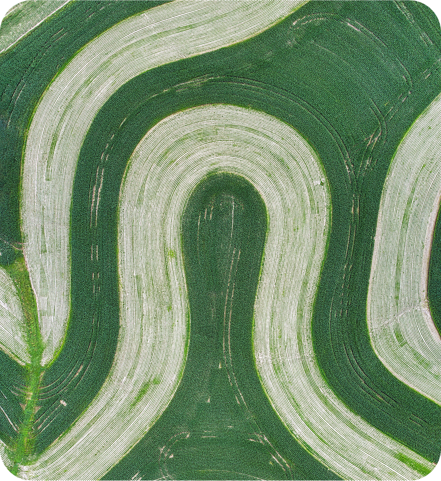Aerial view of farmland