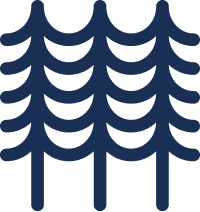 Trees illustration